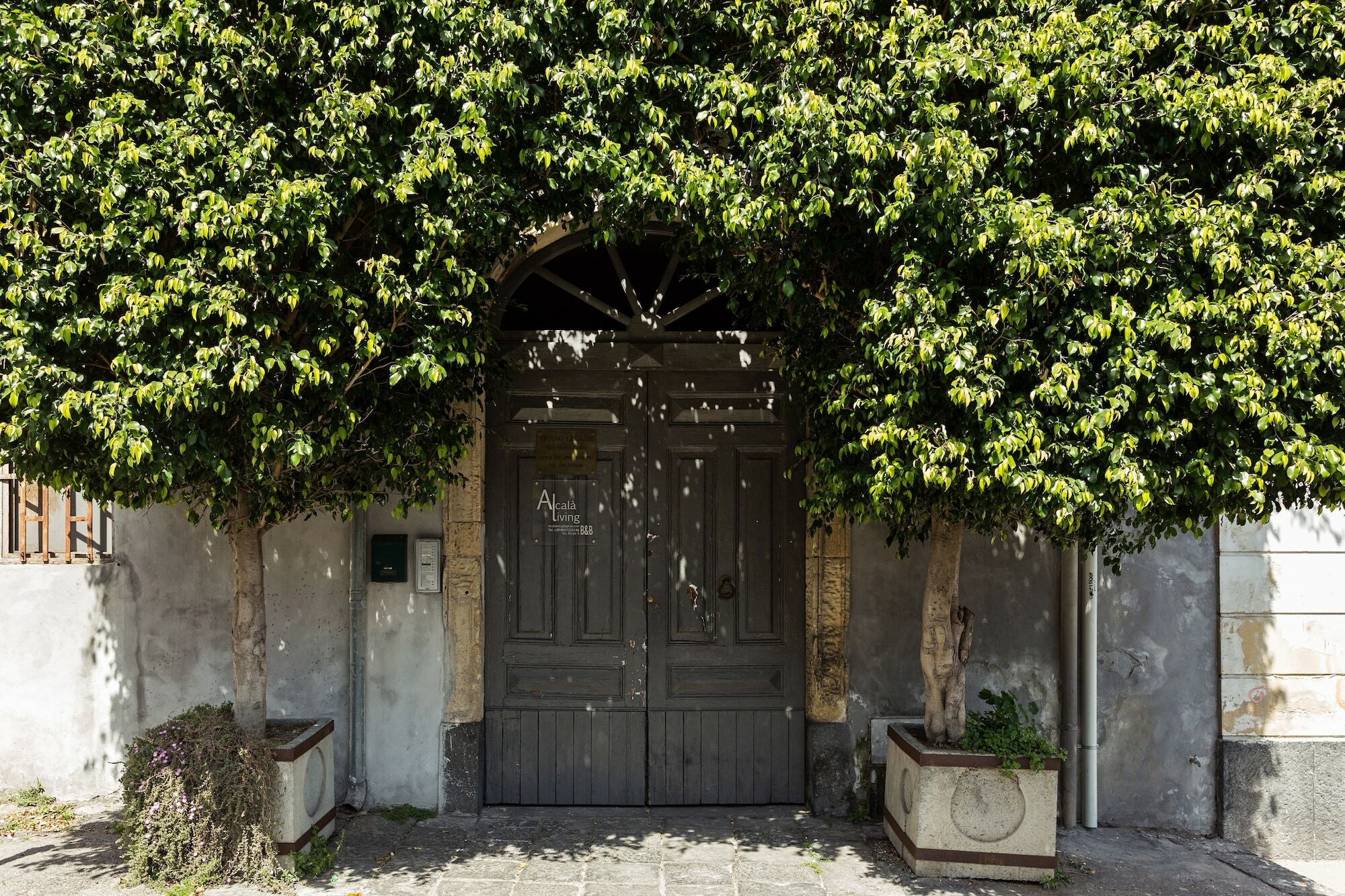 Alcala Living Deluxe Apartment Catania
